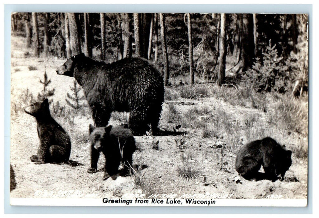 c1940's Greetings From Rice Lake Wisconsin WI, Black Bear RPPC Photo Postcard