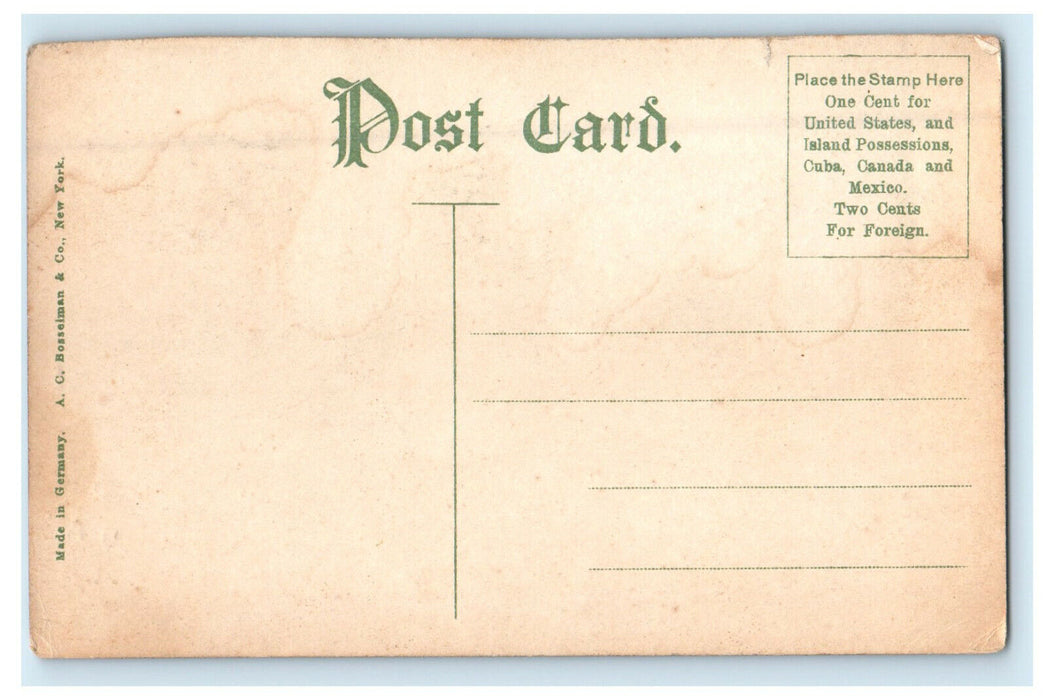 c1910 Supreme Court Capitol Washington DC Antique Unposted Postcard