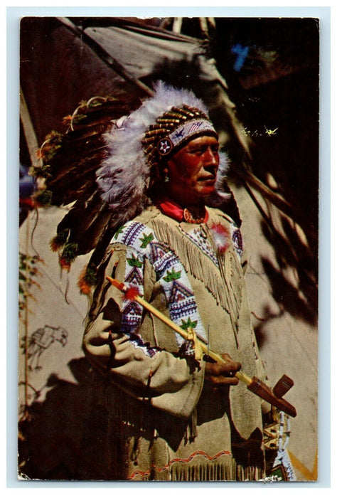 1965 Chief Running Horse Native Americana Indian Albuquerque New Mexico Postcard