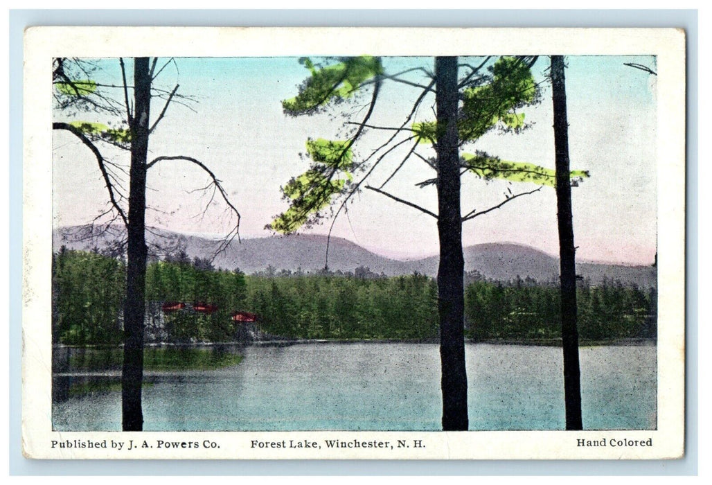 c1910's View Of Forest Lake Winchester New Hampshire NH Antique Postcard