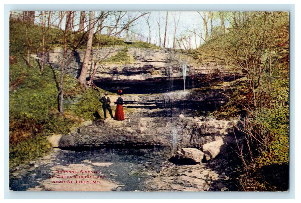 1911 Dripping Springs at Creve Coeur Lake Near St. Louis Missouri MO Postcard