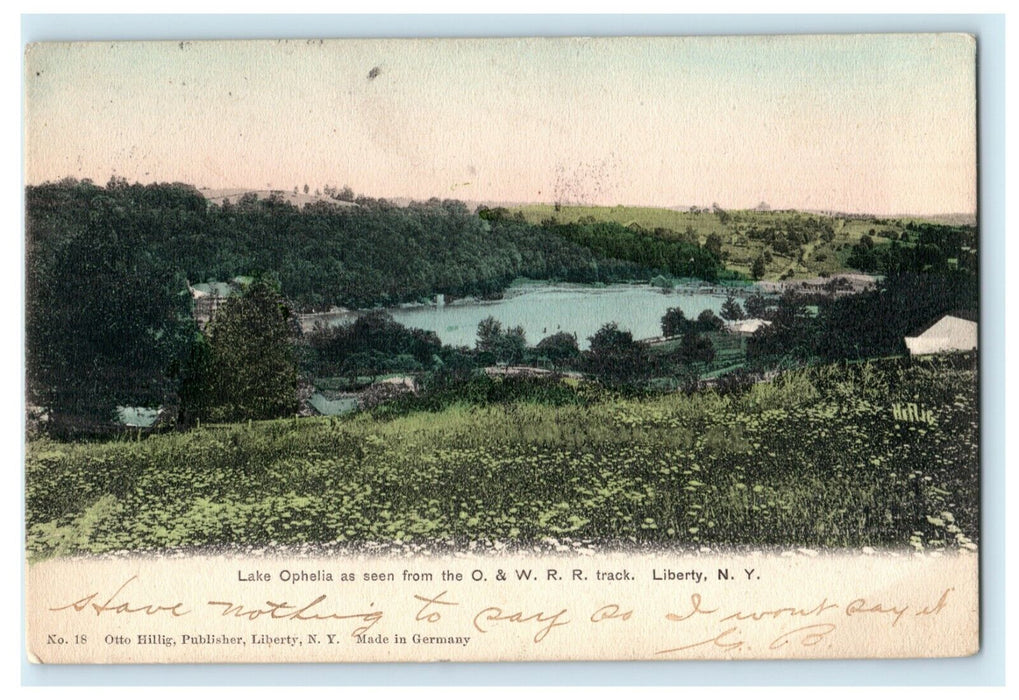 1905 Lake Ophelia O&W Railroad Track Liberty New York NY Posted Antique Postcard