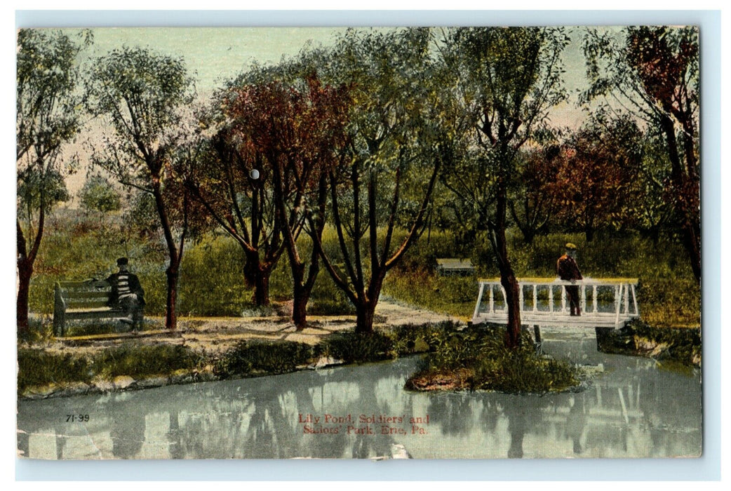 1909 Lily Pond Soldiers Sailors Park Erie Pennsylvania PA Antique Postcard