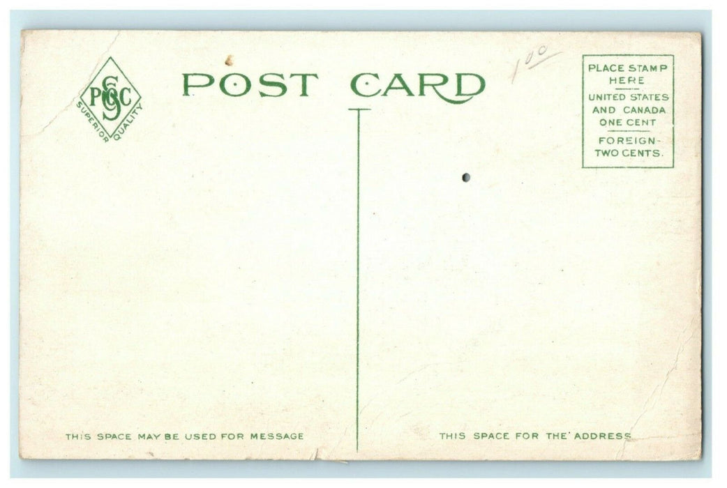 1909 Lily Pond Soldiers Sailors Park Erie Pennsylvania PA Antique Postcard