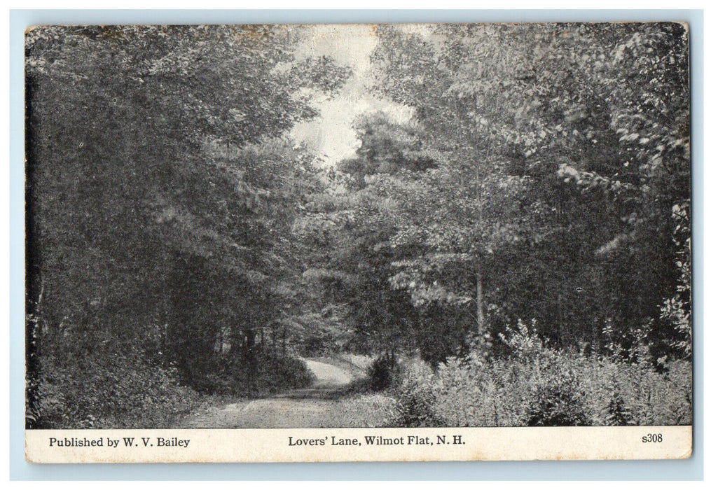 c1910 Lover's Lane, Wilmot Flat New Hampshire NH Antique Unposted Postcard
