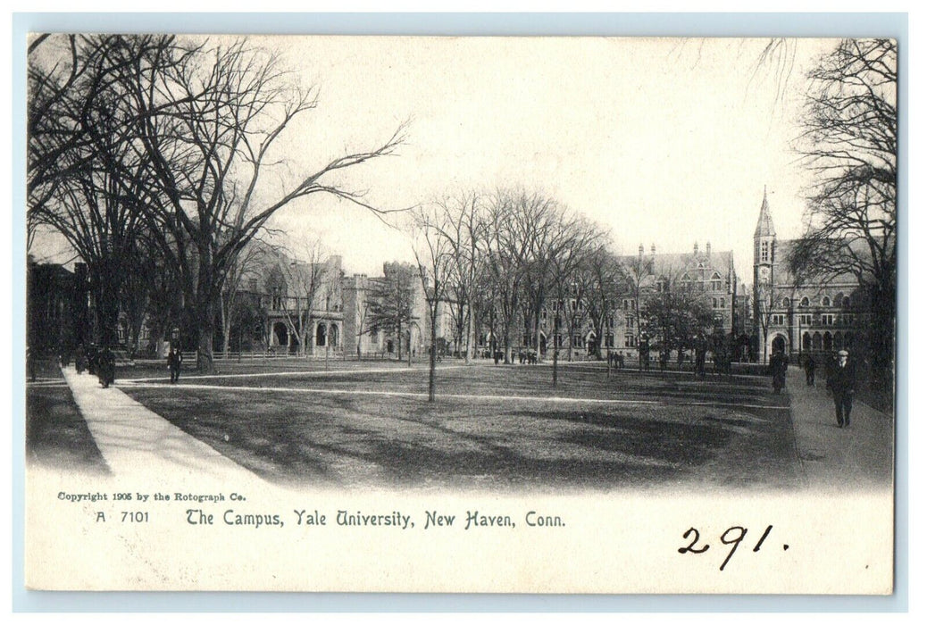c1905 The Campus Yale University New Haven Connecticut CT Rotograph Postcard