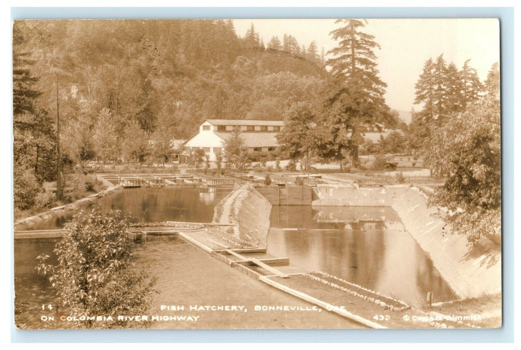 c1940's Fish Hatchery Bonneville Oregon OR RPPC Photo Postcard