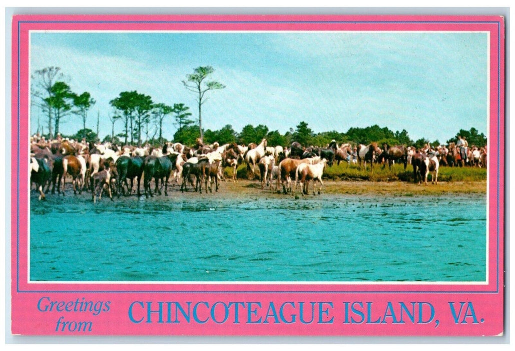 Greetings From Chincoteague Island Virginia VA, Wild Ponnies Vintage Postcard