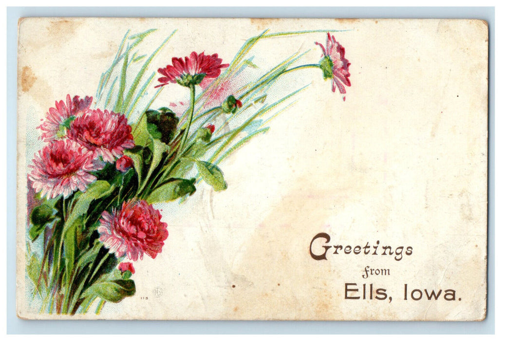 c1910 Pink Flowers, Greetings from Ells Iowa IA Antique Posted Postcard