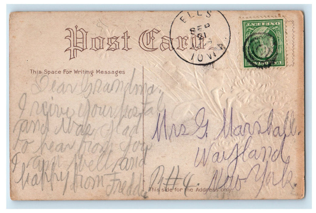 c1910 Pink Flowers, Greetings from Ells Iowa IA Antique Posted Postcard