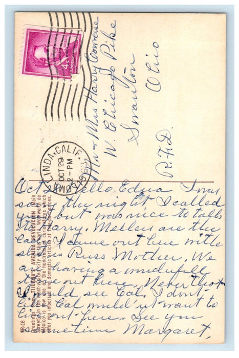 1963 Nacho Store, Hotel, Greetings from Tijuana's Avenida Revolucion MX Postcard