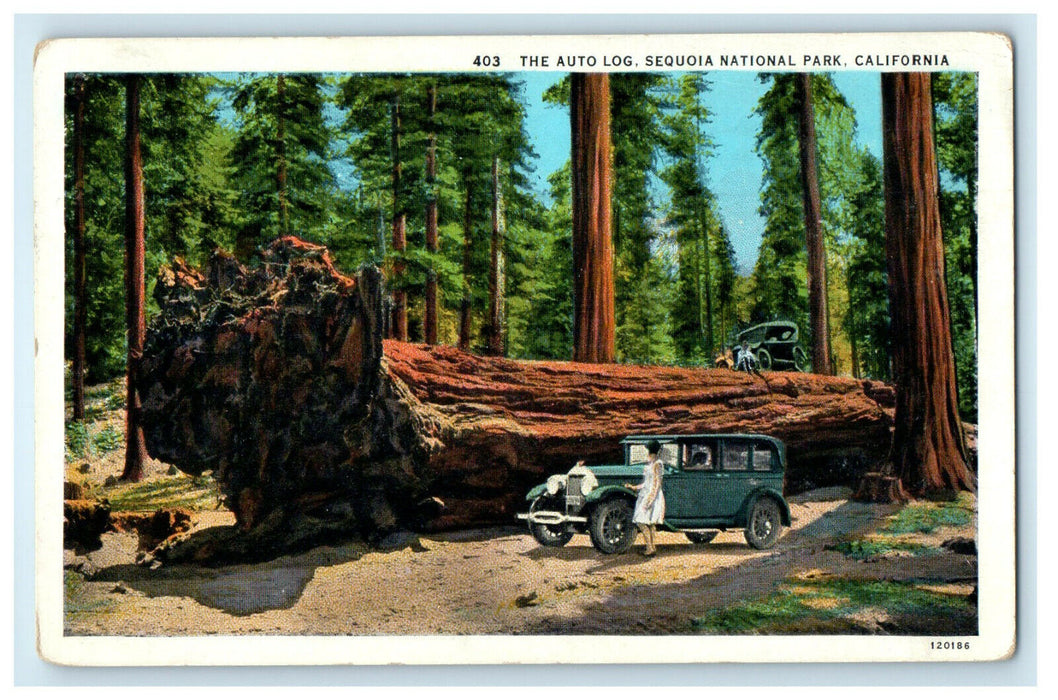 1932 The Auto Log, Sequoia National Park California CA Posted Postcard