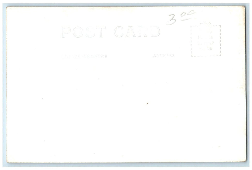 c1940's Jameson's From Lookout View Hovland Minnesota MN RPPC Photo Postcard