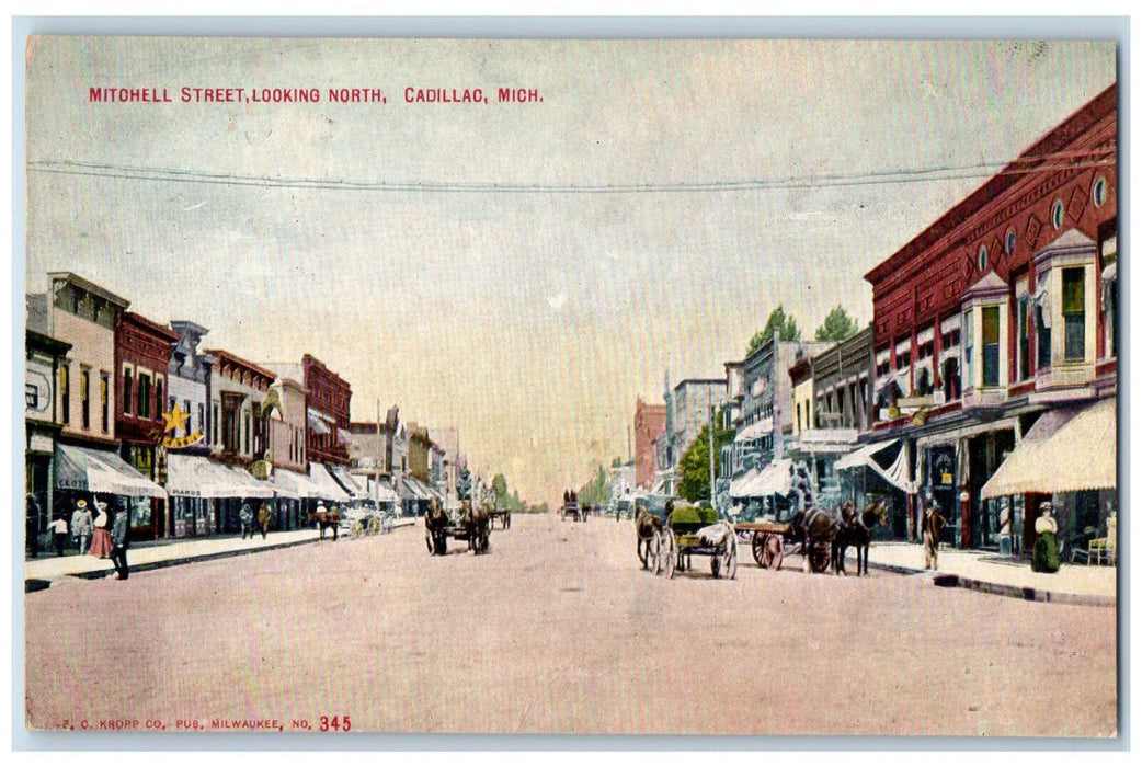 c1910 Horse Carriage Mitchell Street Looking North Cadillac Michigan MI Postcard