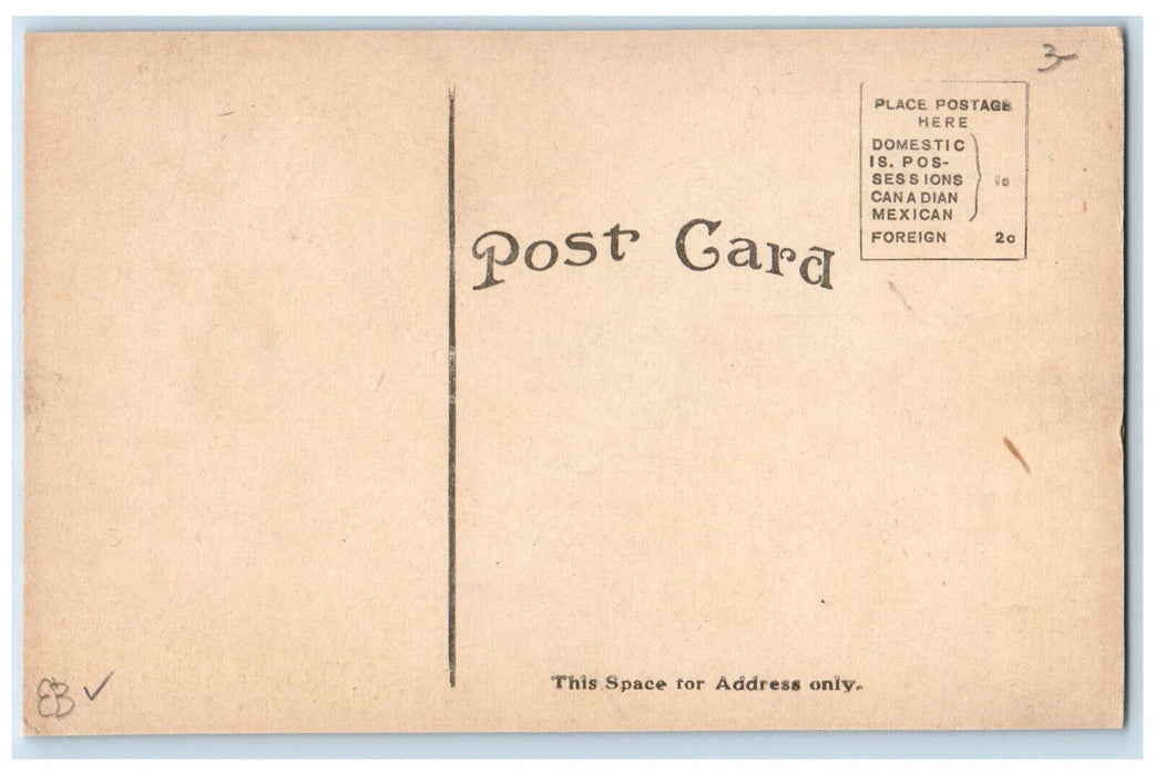 c1910 Horse Carriage Mitchell Street Looking North Cadillac Michigan MI Postcard