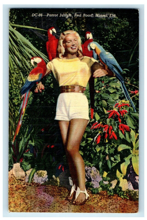 Parrot Jungle Red Road Miami Florida FL, Girl With Parrots Advertising Postcard