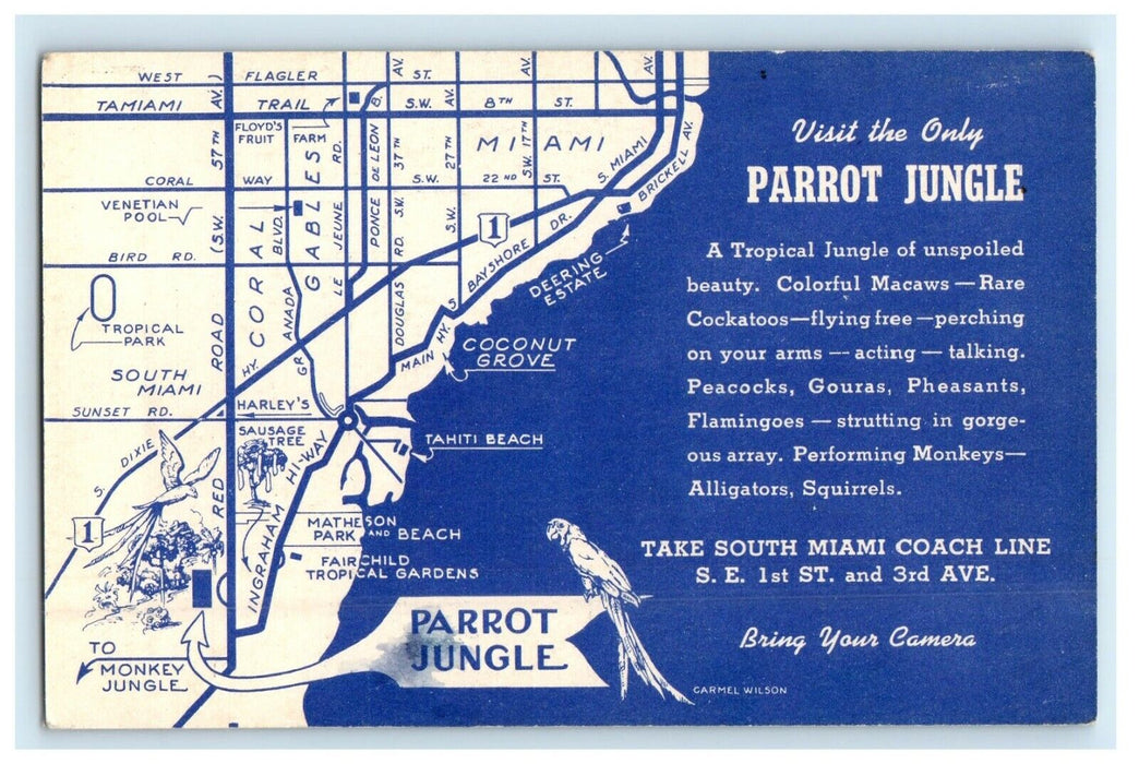 Parrot Jungle Red Road Miami Florida FL, Girl With Parrots Advertising Postcard