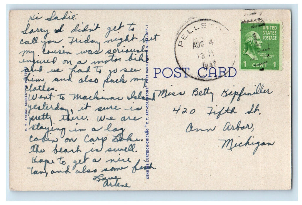 1947 Bear and Deer Scene, Greetings from Mackinaw City Michigan MI Postcard