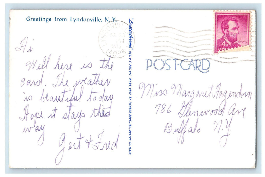 1965 Lake and Road Scene, Greetings from Lyndonville New York NY Postcard