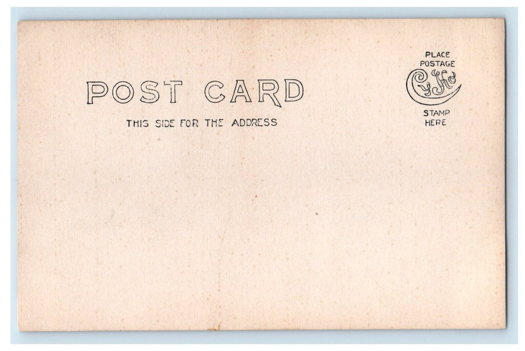 c1905 Burned Down School Building Shell Fire Disaster RPPC Photo Postcard