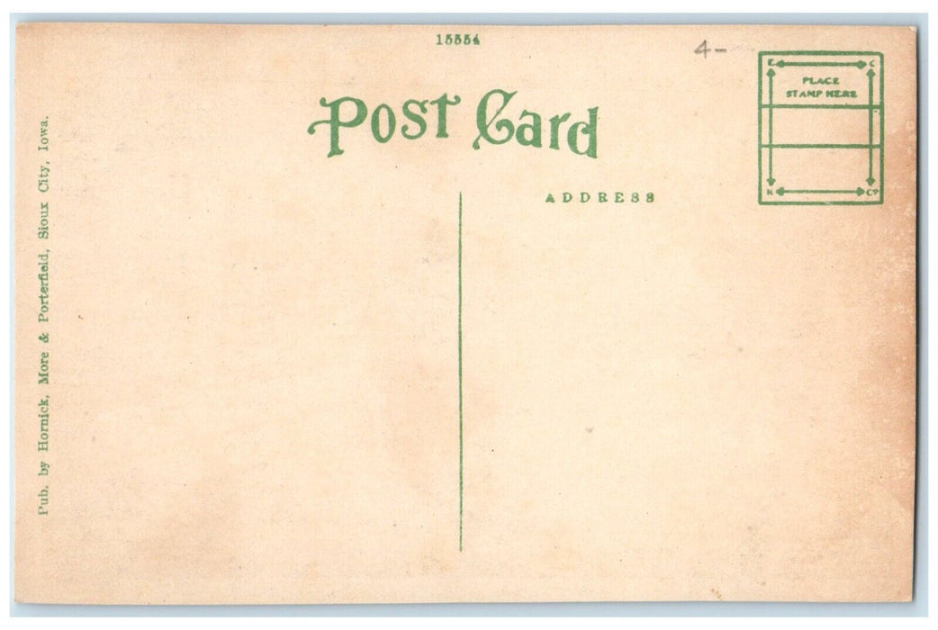 c1910's Sixth Street Looking West From Nebraska Street Sioux City IA Postcard