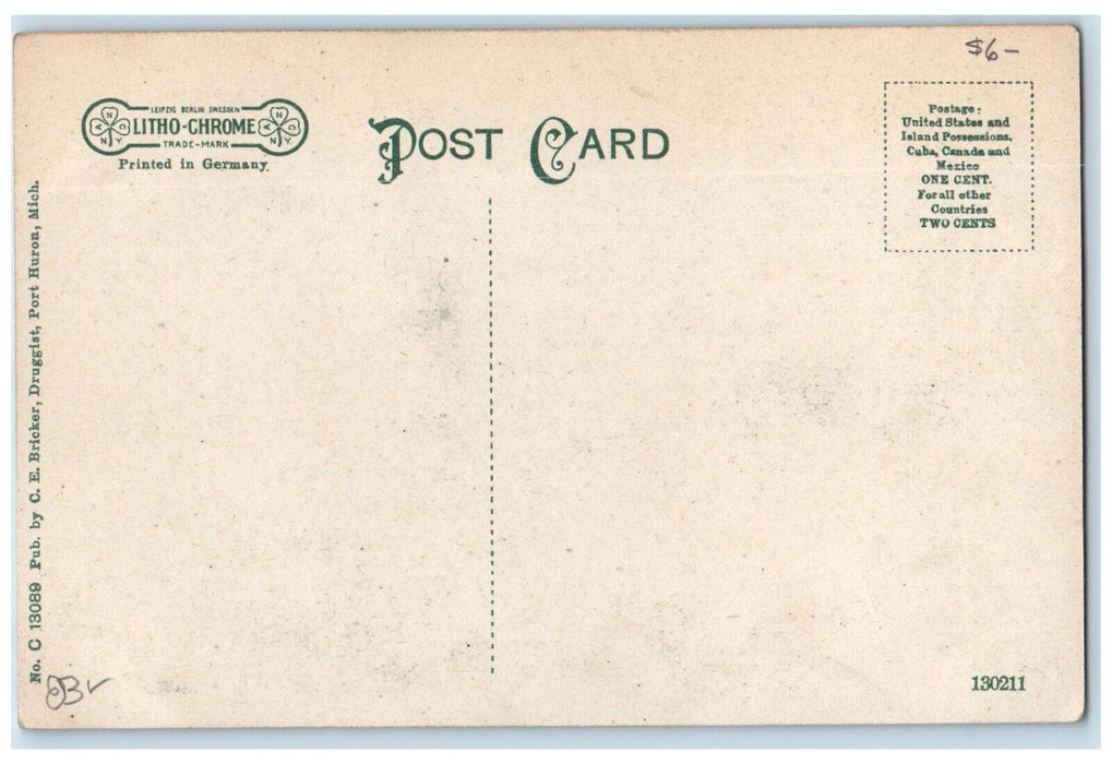c1910's View On Black River Boats Port Huron Michigan MI Antique Postcard