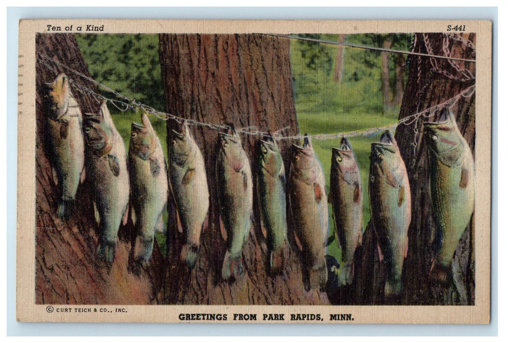 1948 Ten of a Kind Fish, Greetings from Park Rapids Minnesota MN Postcard