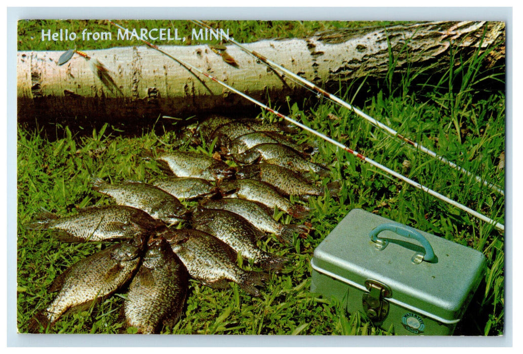 c1950's Crappies Fish Got Caught, Box, Hello from Marcell Minnesota MN Postcard