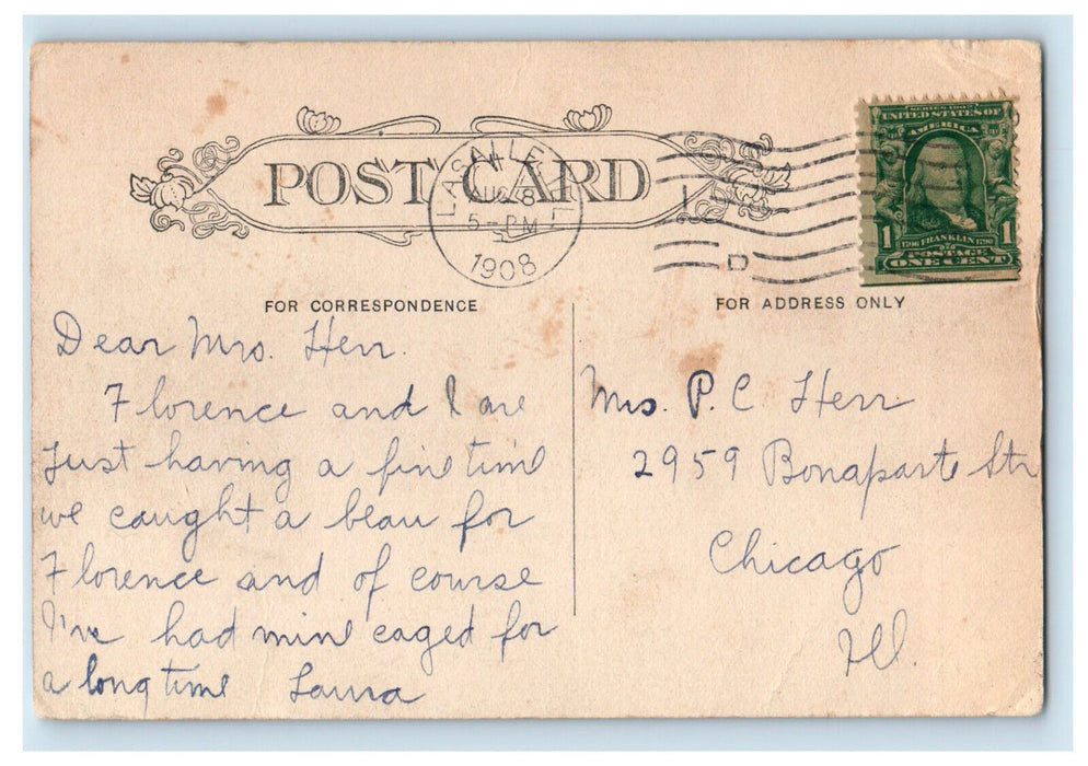1908 Swinging Bridge Deer Park La Salle Illinois IL Antique Postcard