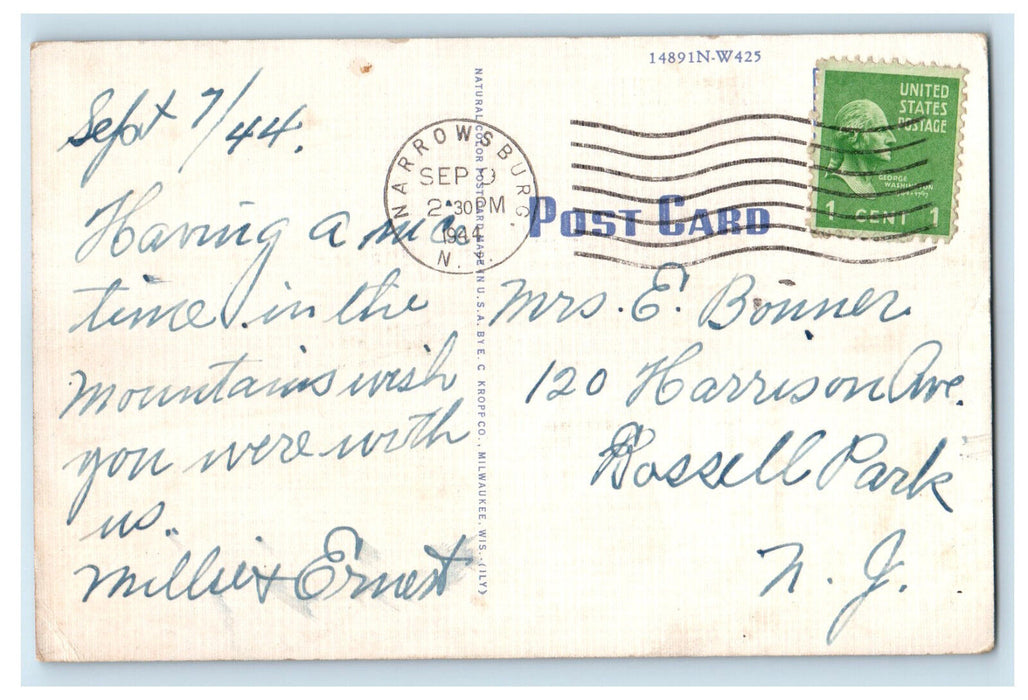 1944 Nature and Fishing Scene, Greetings from Narrowsburg New York NY Postcard