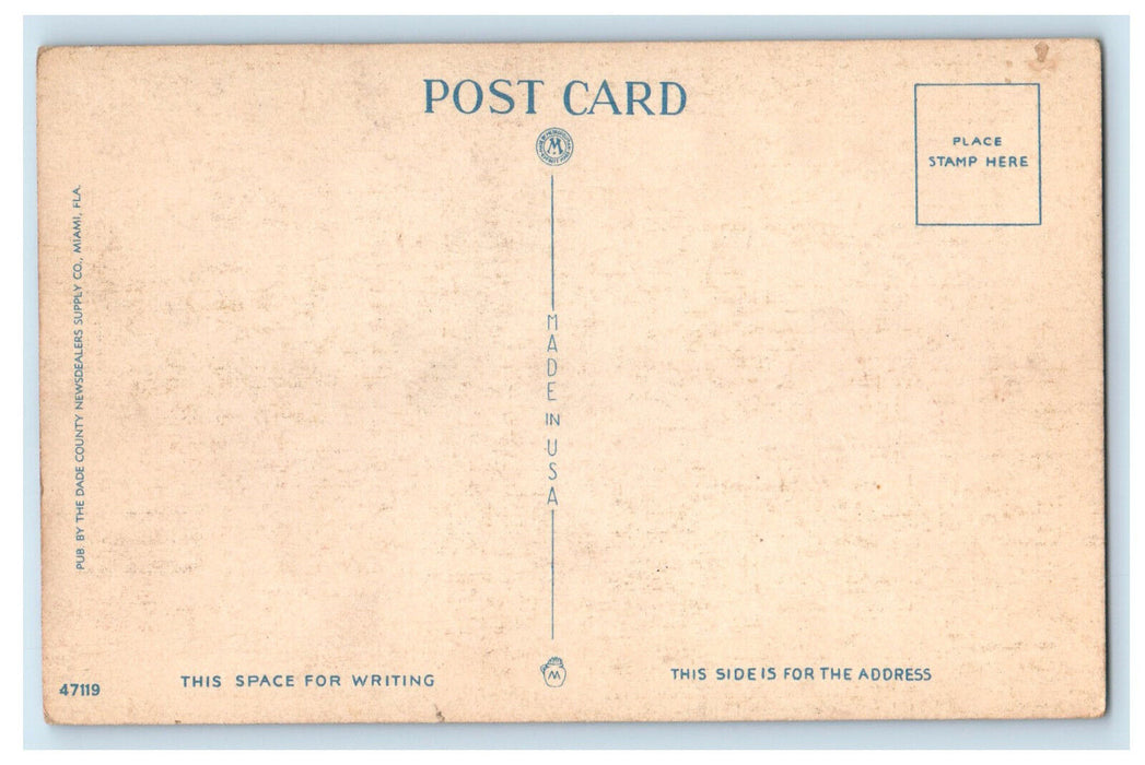 c1950's A Giant Sailfish Caught in Miami Waters Florida FL Unposted Postcard