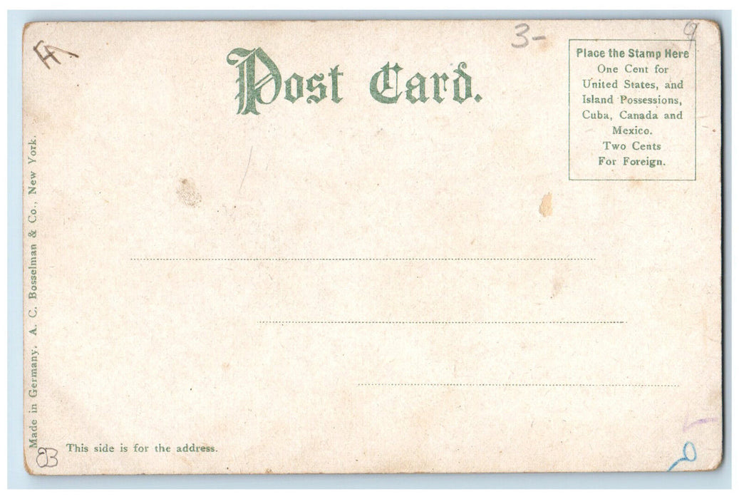 c1905 Cannon, Public Square Bradford Pennsylvania PA Antique Postcard