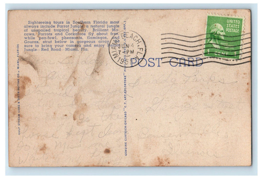 1951 Lady Holding Parrot, The Parrot Jungle, Red Road Miami Florida FL Postcard
