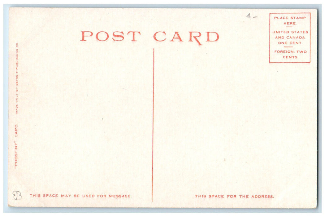 c1920's Steamship Scene, The Locks Sault Ste Marie Michigan MI Phostint Postcard