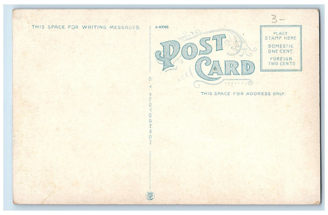 c1910 US Flag, Tree, Hotel Colfax Colfax Iowa IA Unposted Antique Postcard