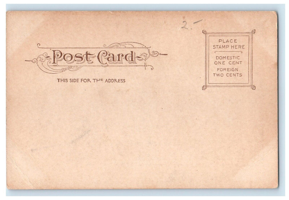 c1905 Perkins Institute For The Blind South Boston Massachusetts MA Postcard