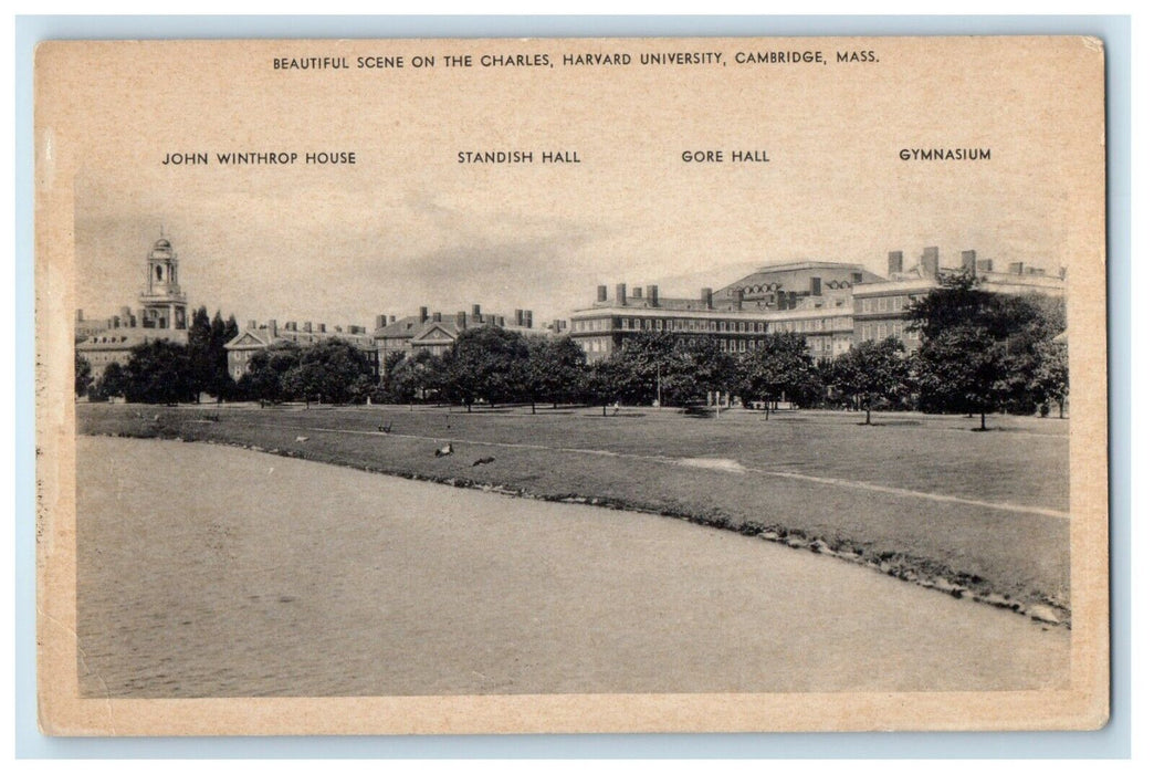 c1930's Beautiful Scene On The Charles Harvard University Cambridge MA Postcard