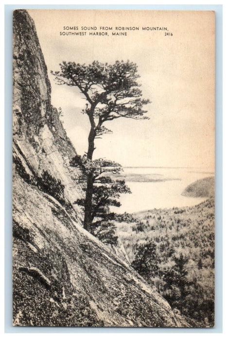 c1940's Somes Sound From Robinson Mountain Southwest Harbor Maine ME Postcard