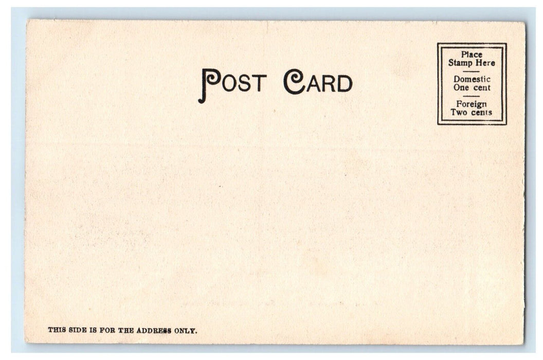 c1905 Rustic Pavillion In Forest Lake Springfield Massachusetts MA Postcard