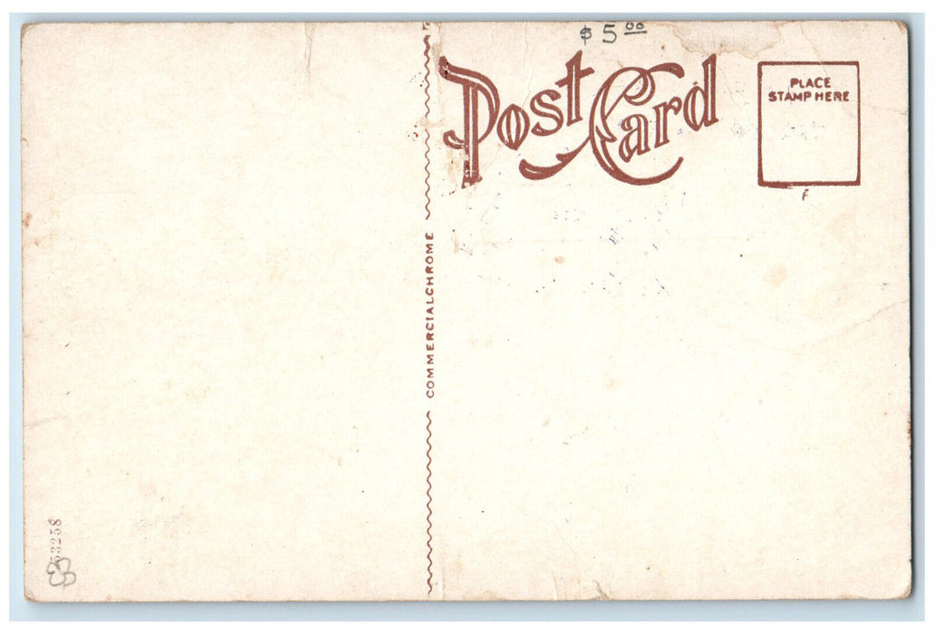 c1920's West Park Street Looking North Winter Haven Florida FL Postcard