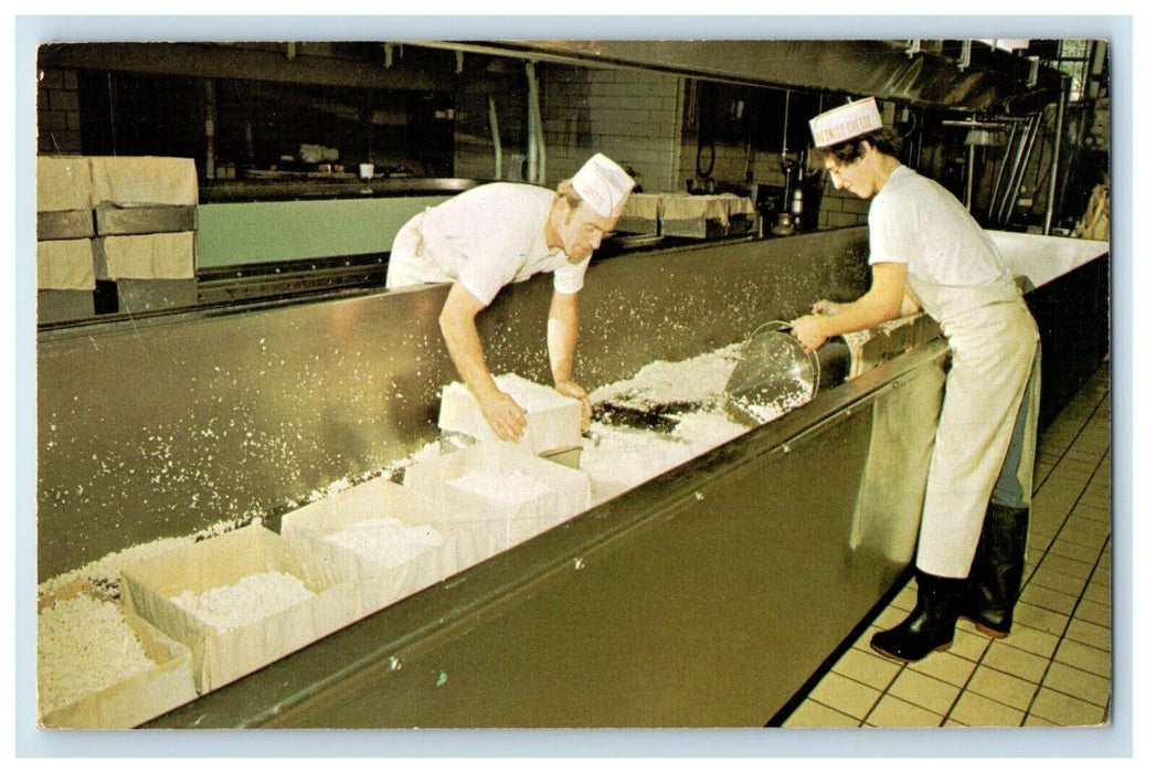 1979 Alpine Alpa Showplace Of Cheesemaking Wilmot Ohio OH Vintage Postcard