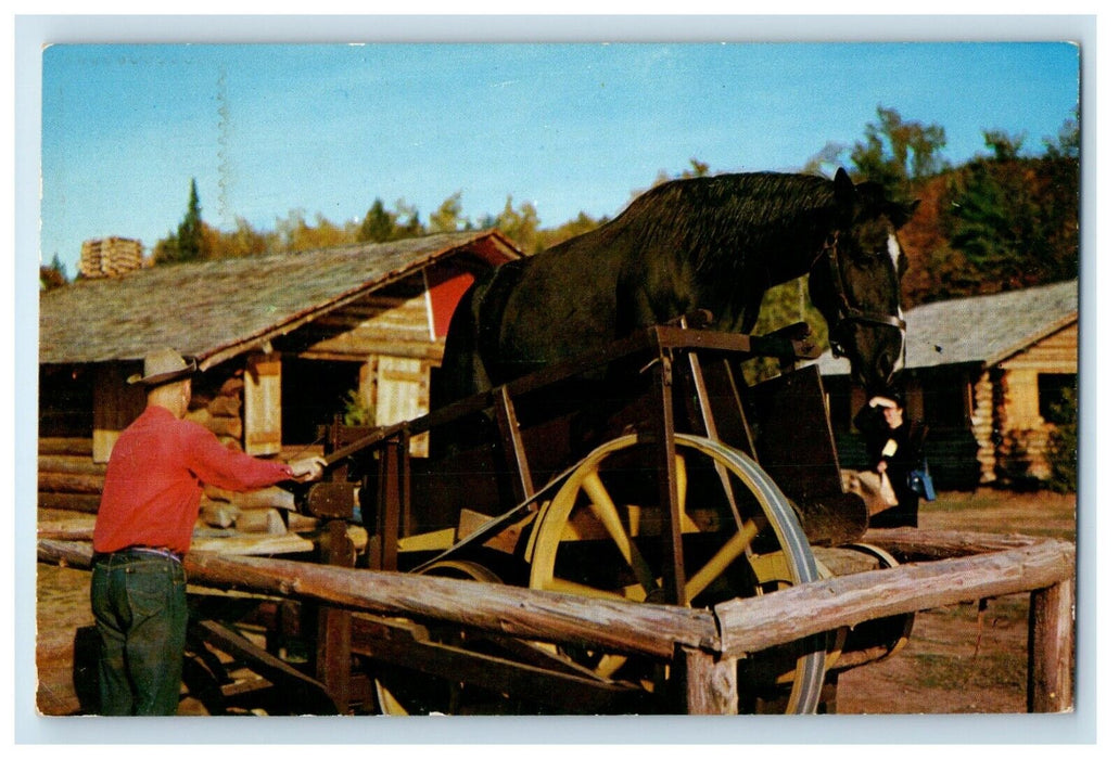 1954 Sawing Logs Horse Treadmill Frontier Town New York NY Vintage Postcard