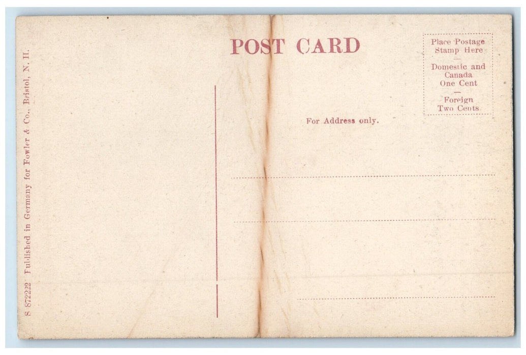 1920 Hebron Mountain Lake Park View New Hampshire NH Vintage Unposted Postcard