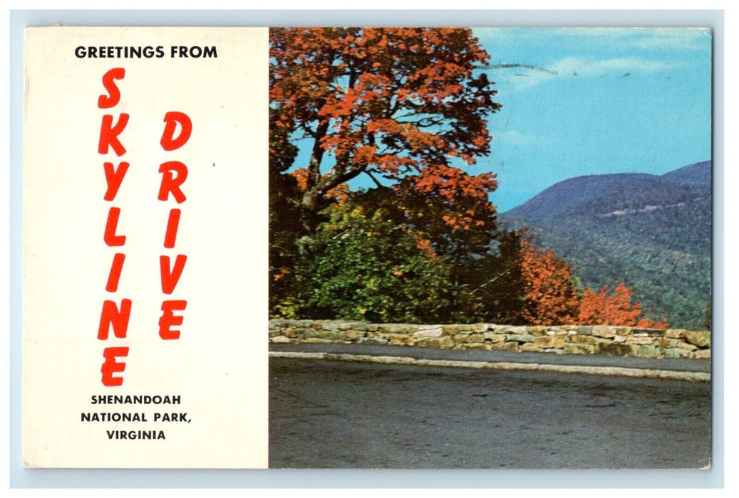 1976 Greetings From Skyline Drive Shenandoah National Park Virginia VA Postcard