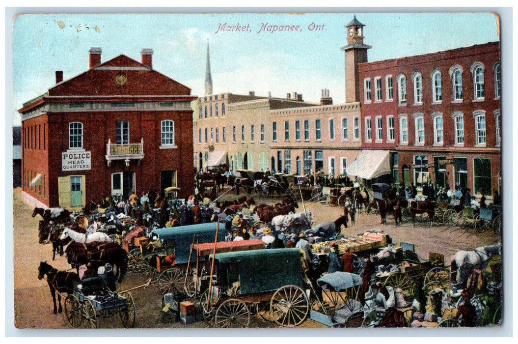 1912 Police, Businesses, Horse Carriage Market Napanee Ontario Canada Postcard