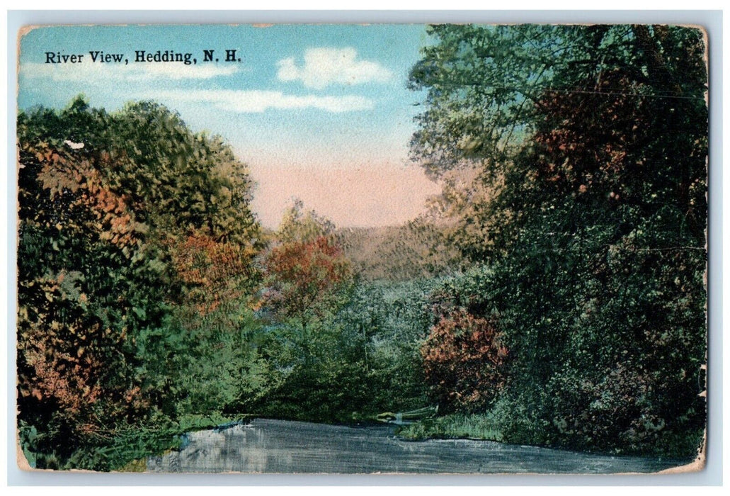 c1910 River View Trees Scenic Hedding New Hampshire NH Vintage Unposted Postcard