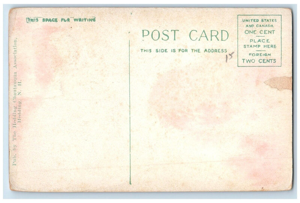 c1910 River View Trees Scenic Hedding New Hampshire NH Vintage Unposted Postcard