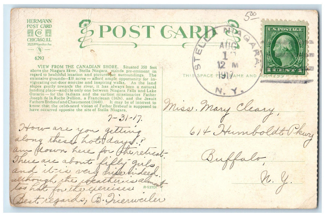 1917 Steamboat, Stella Niagara with Niagara River New York NY Posted Postcard