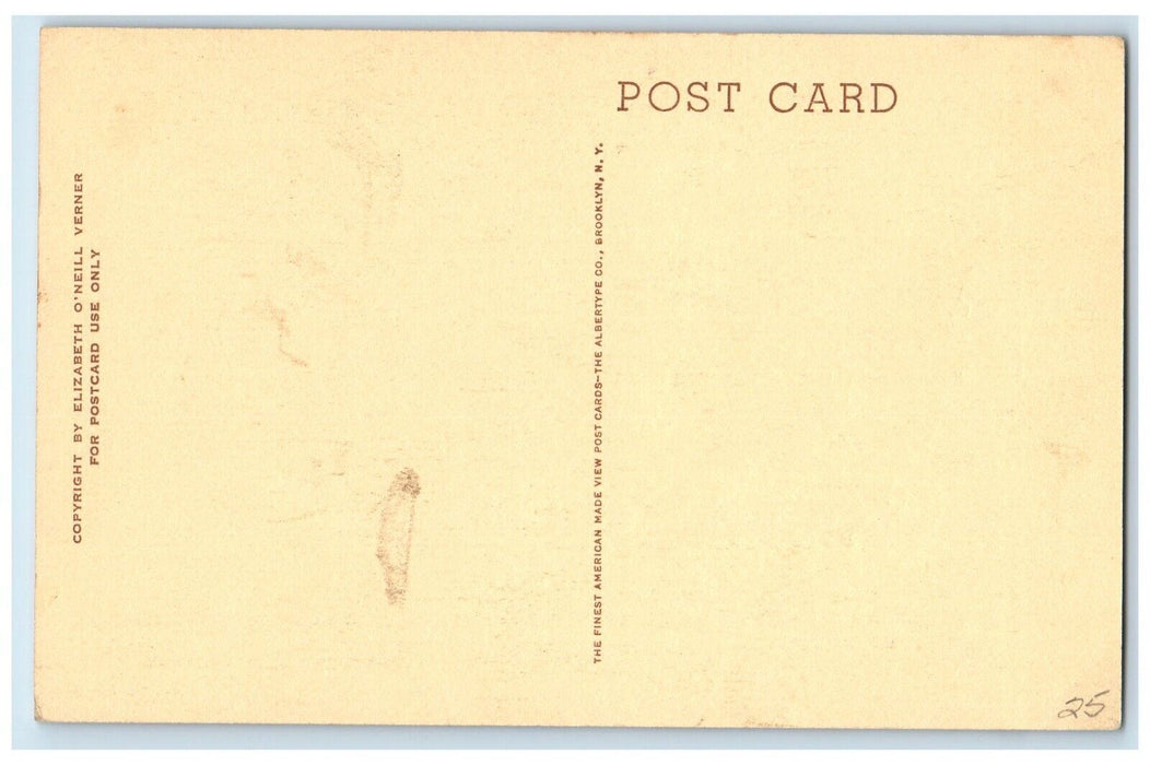c1920 Charleston Free Library Entrance Gate South Carolina SC Vintage Postcard