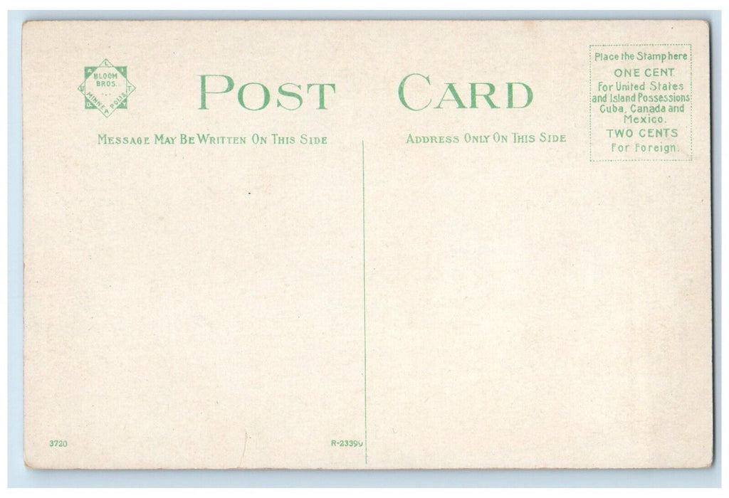 c1910 Court House Winter Carriage Rochester Minnesota Vintage Antique Postcard